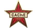 Cache Pin image